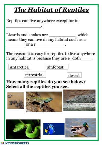 The Habitat of Reptiles