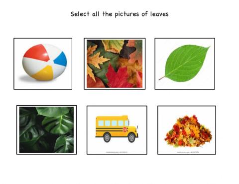 Select Leaves