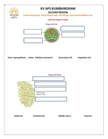Diagram Based Quest on Reproduction in Flowering Plant