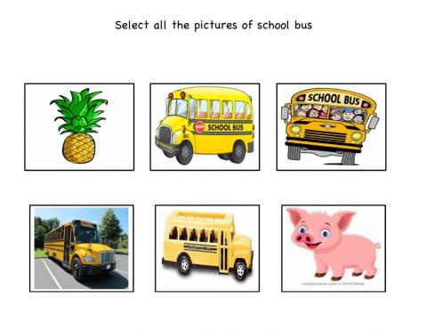 Select school bus