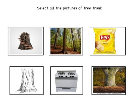 Select tree trunk