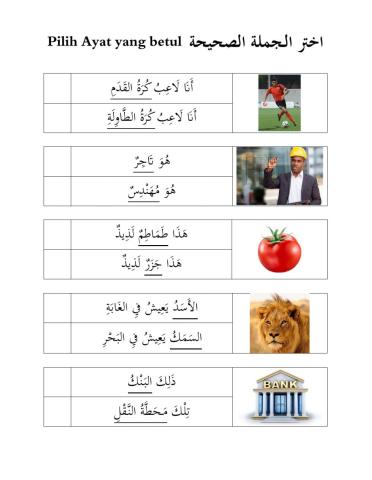 Ulangkaji Bahasa Arab T5 Set B