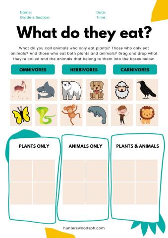 Montessori Lesson - Biology - What do they eat?