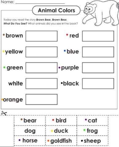 Brown Bear Brown Bear Color match