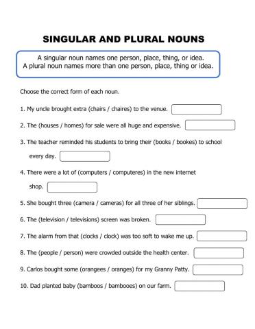 Singular and Plural Nouns 1