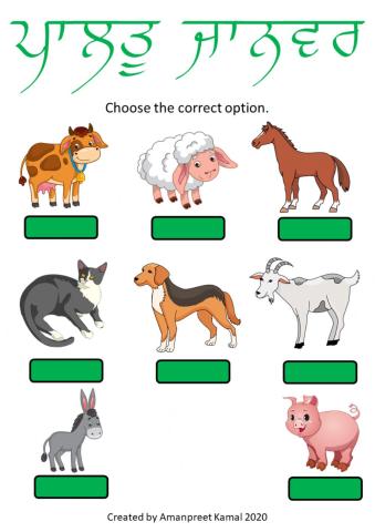 Pets and Farm Animals - choose the correct option