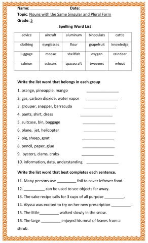 Nouns with the Same Singular and Plural Form Worksheet 1