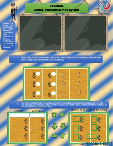 Voleibol, zonas, posiciones y rotación