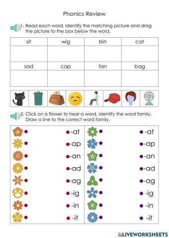 Word Family Review
