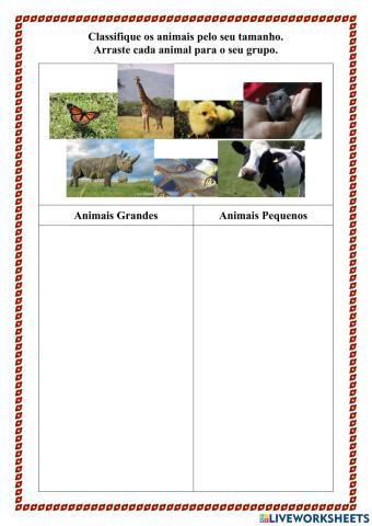 Classificação dos animais