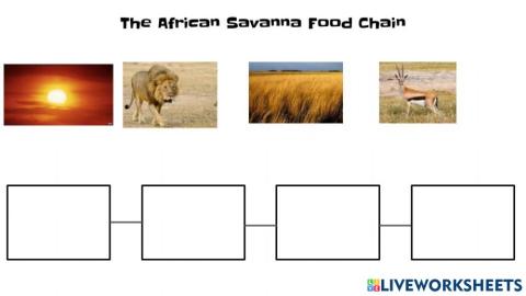 savanna food chain