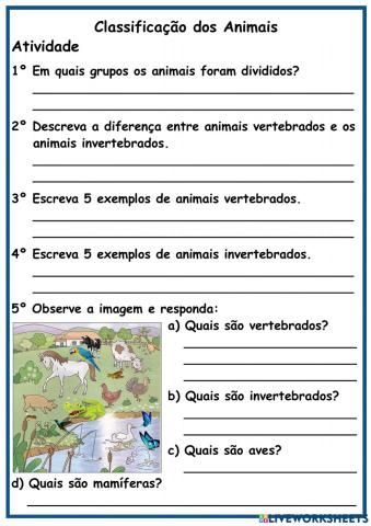 Classificação dos Animais