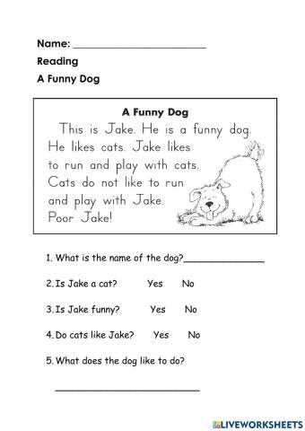 Jake the Funny Dog
