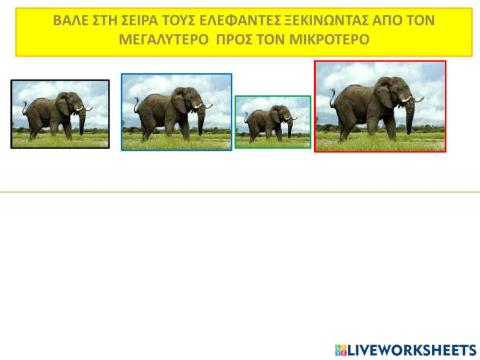 Ελεφαντες
