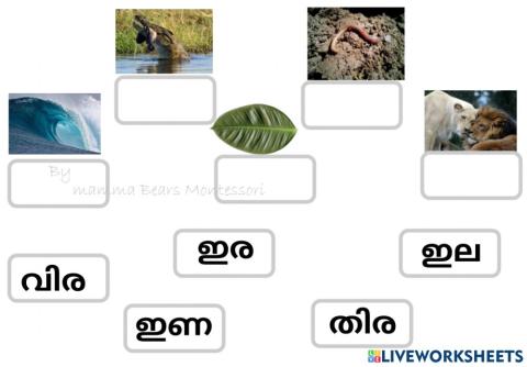 Malayalam vocabulary Practice