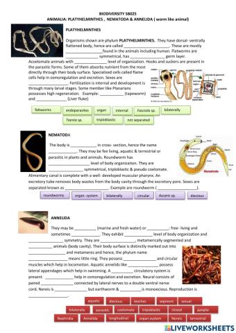 Animalia: Platyhelminthes, Nematoda & Annelida