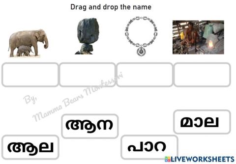 Malyalam Vocabulary practice