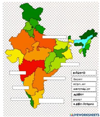 Social science  India map
