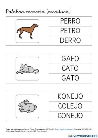 SA Animales. Vocabulario de casa