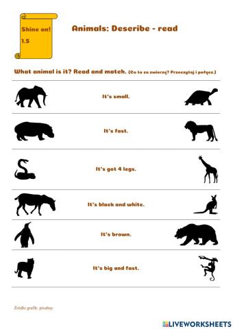 Animals - reading description