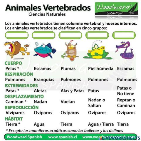 Grupos de animales vertebrados