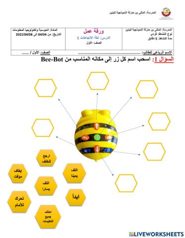 Bee Worksheet