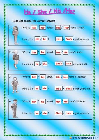 Personal Pronouns -He-She-His-Her