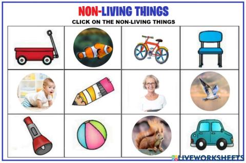 Nonliving things