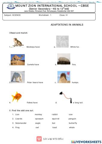 Adaptations in animals