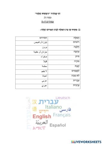 דף עבודה על השפות עמודים 8+9 כיתה ד2