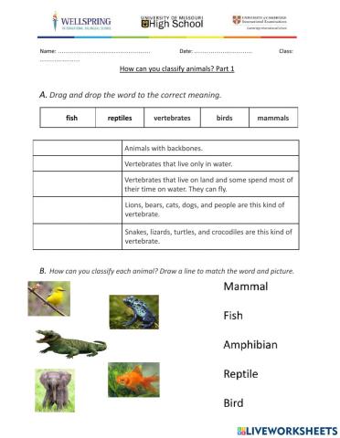 Grade 3 - Classifying Animals Part 1