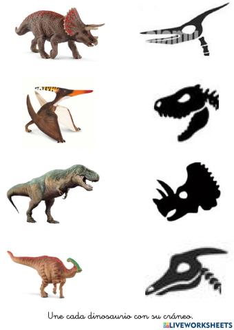 Une dinosaurios con sus cráneos.