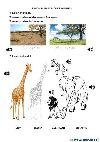 Lesson 5. the savanna