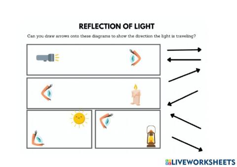 Reflection of light