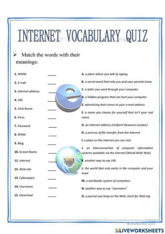Internet Vocabulary Quiz