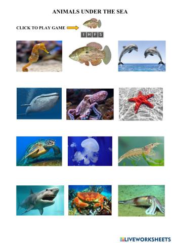 Lesson 28. animals under the sea