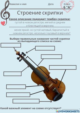 Строение скрипки и названия нот