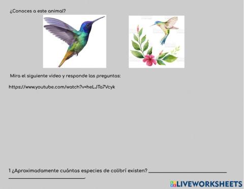 Leyenda del colibrí