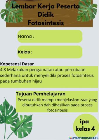 Soal interaktif fotosintesis