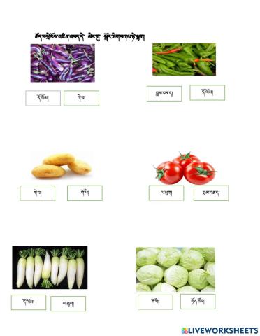 Vegetable image and name