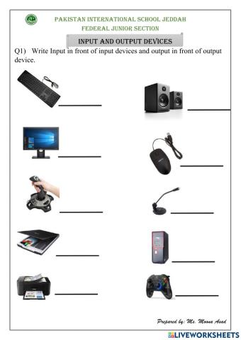 Input & output devices