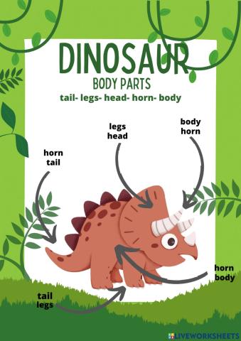 Dinosaurs bodyparts