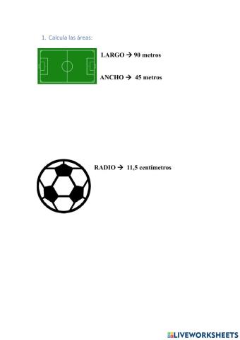 Ficha interactiva futbol