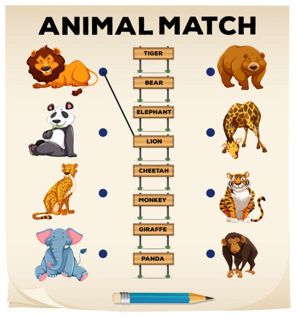 Animals match