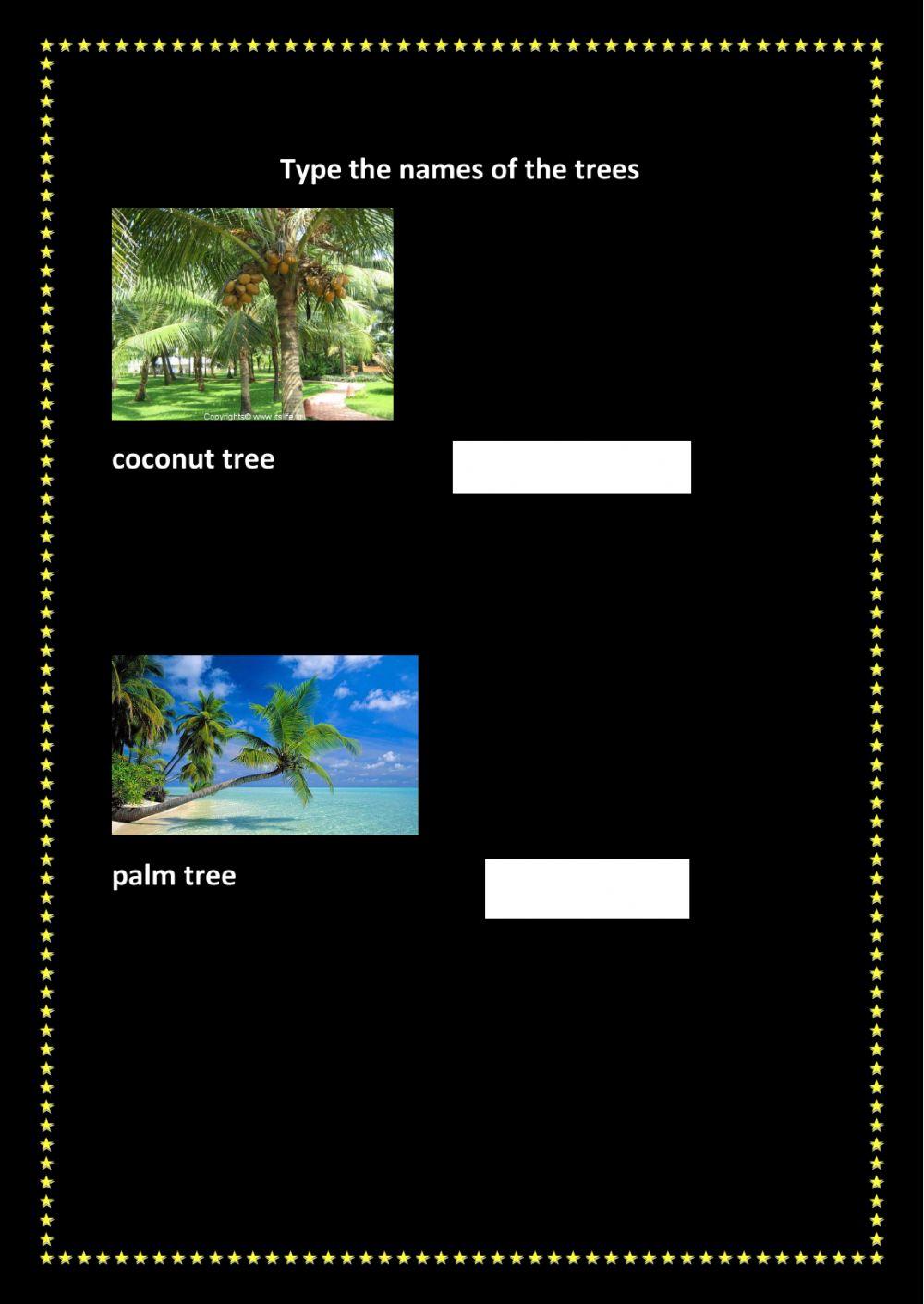type the names of the trees