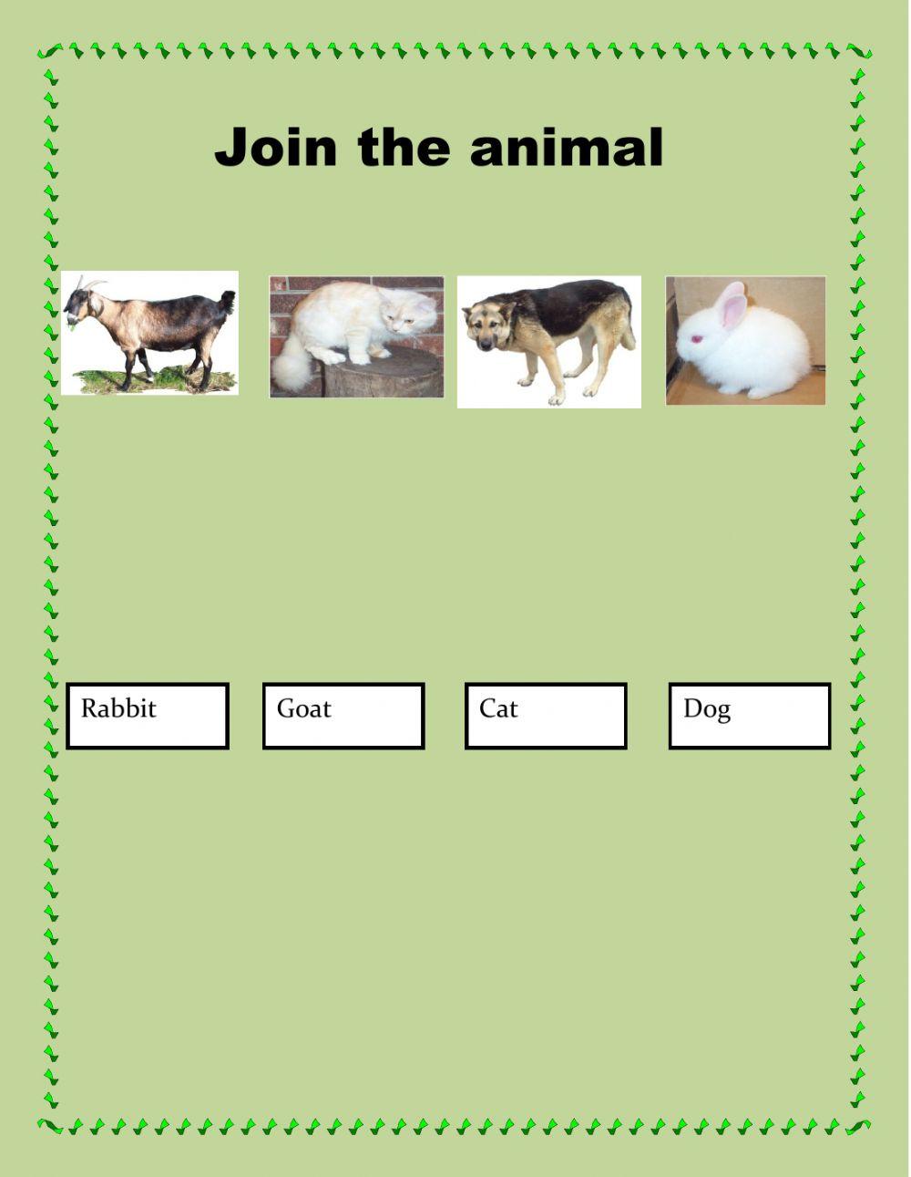 join the animals