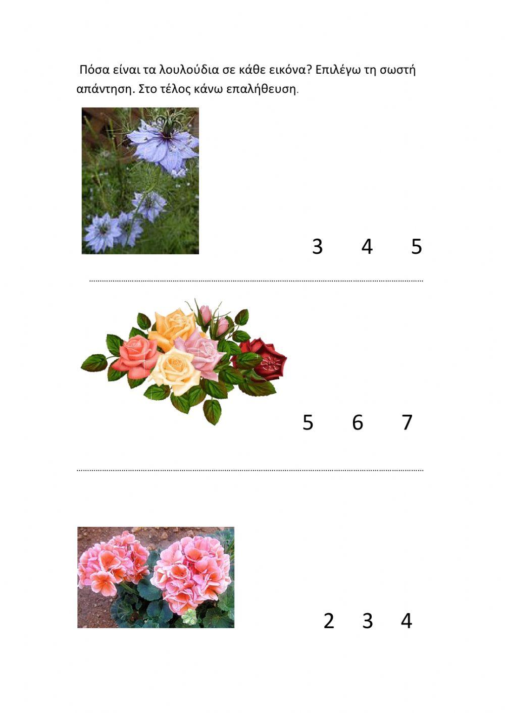 Αριθμος λουλουδιων