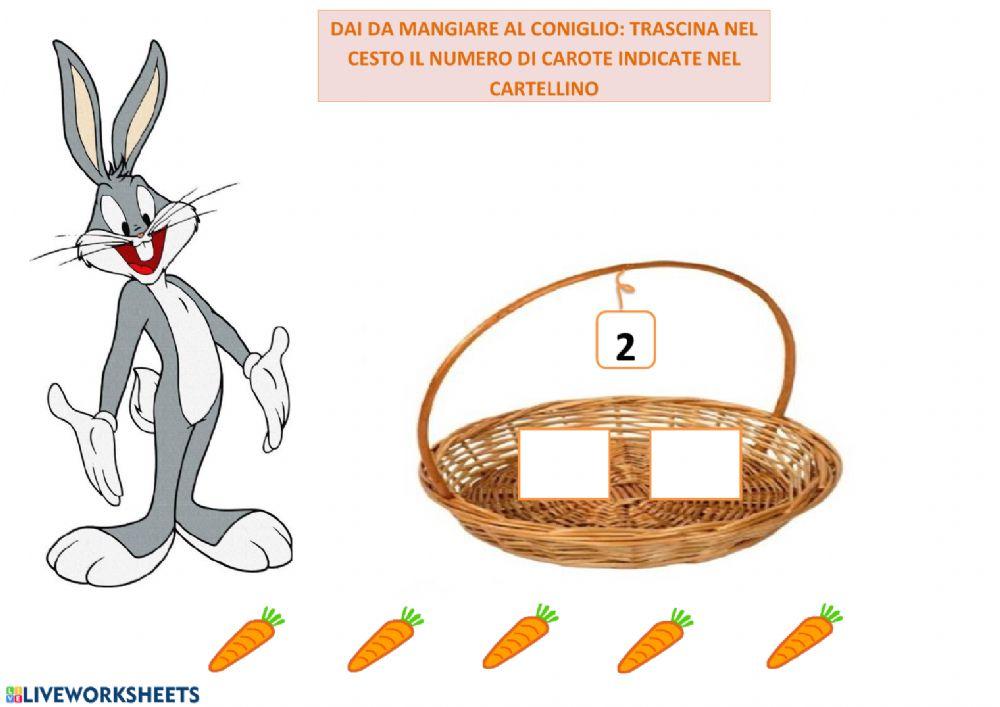 Coniglio mangia carote