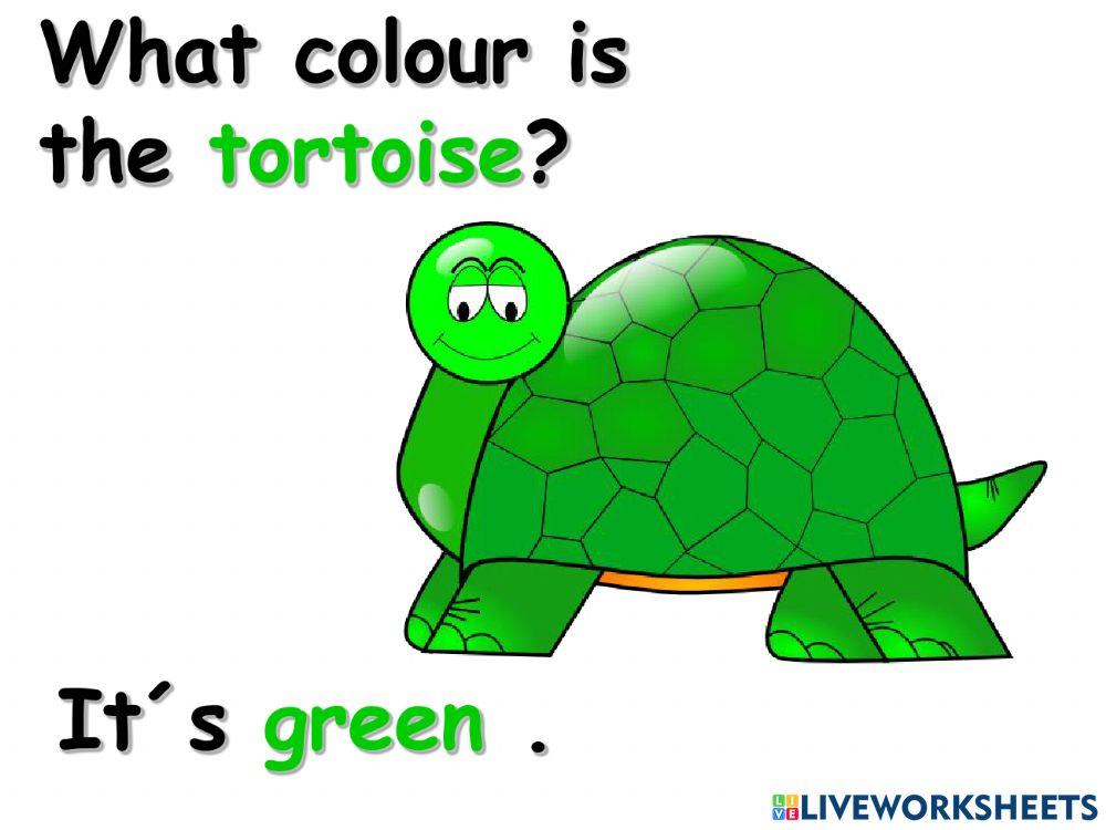What colour is 2
