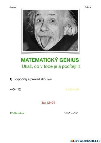 Pracovní list-Matematický genius